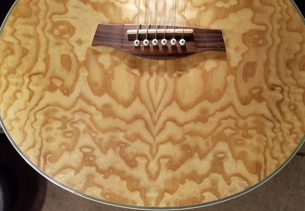 Ibanez acoustic guitar Figure close-up