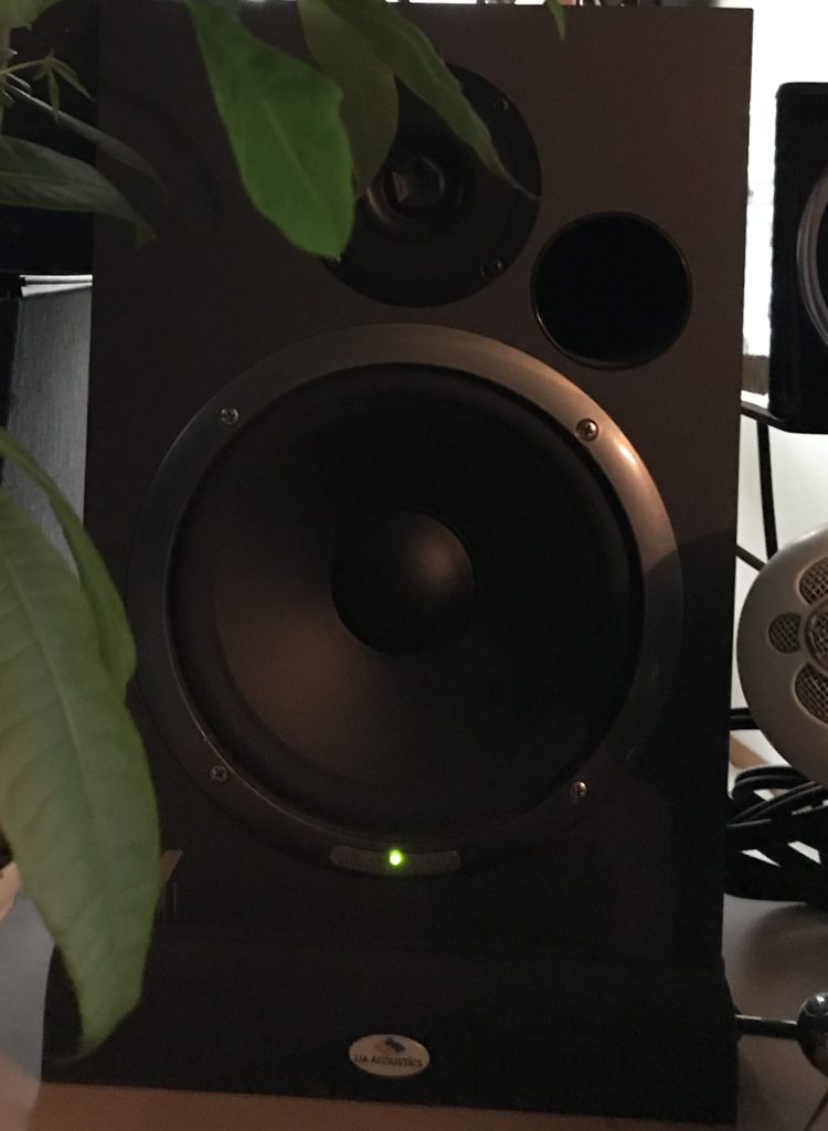 Monitor speaker